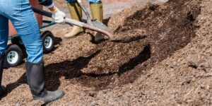 Arbeiten im Garten im Herbst